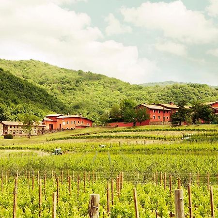 Agriturismo L'Uva E Le Stelle Faedis Exteriér fotografie