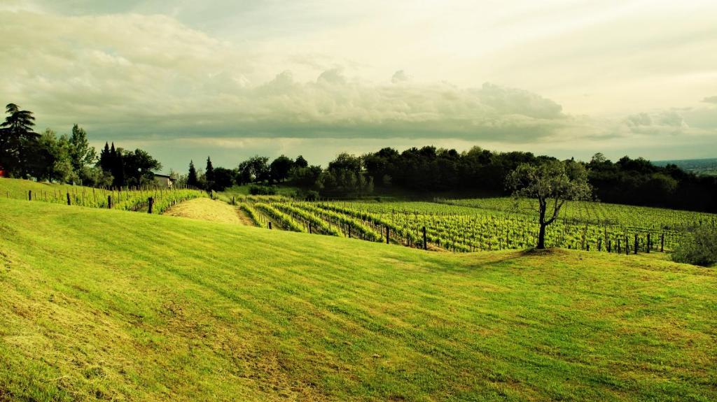 Agriturismo L'Uva E Le Stelle Faedis Exteriér fotografie