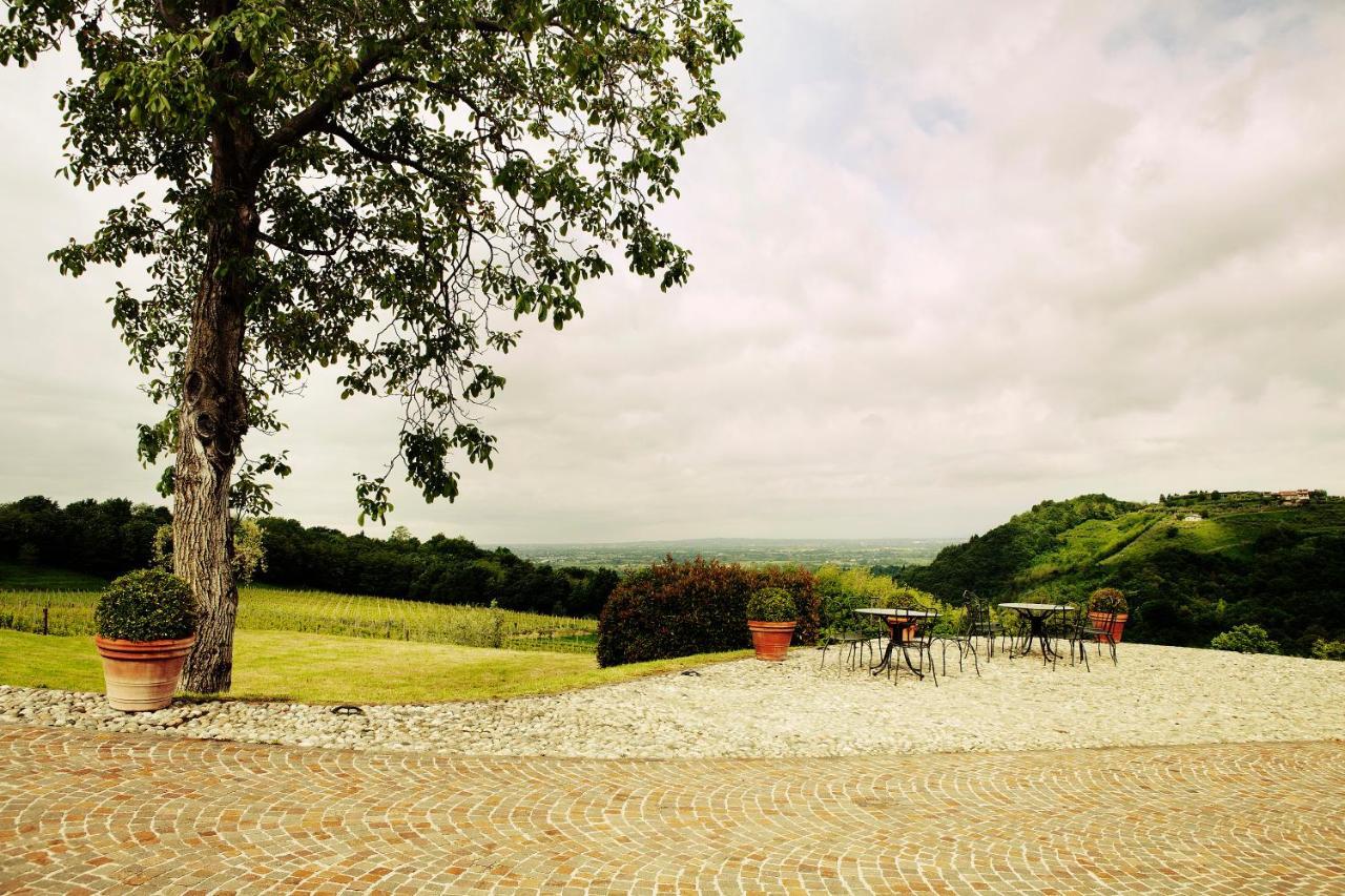 Agriturismo L'Uva E Le Stelle Faedis Exteriér fotografie